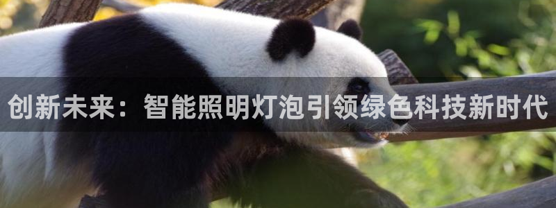 云顶国际集团io