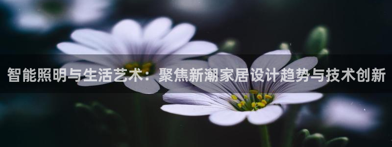 云顶国际测试服免费吗