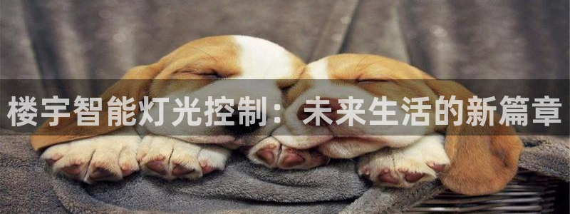 云顶国际大酒店位于哪个街道
