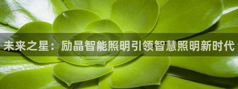 云顶国际能提现吗