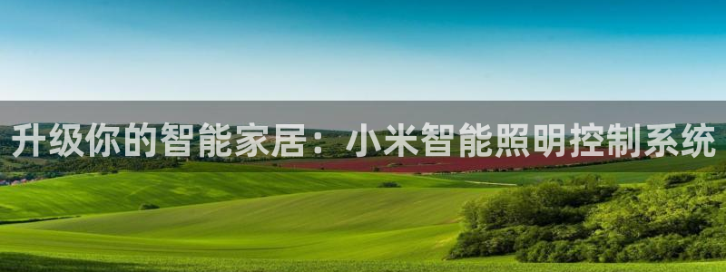 云顶国际服s9赛季什么时候出的