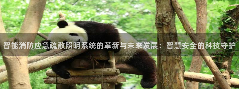 云顶国际提现不到账怎么办