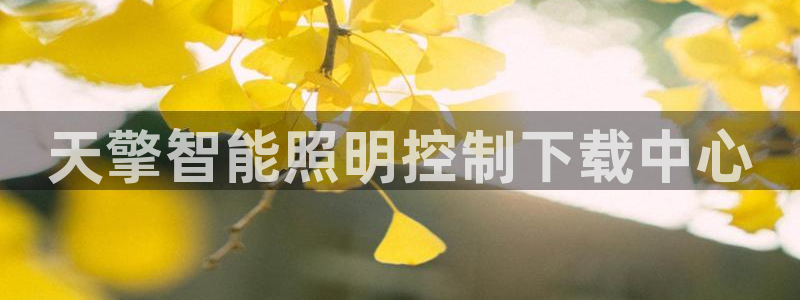 怎么下载云顶国际服