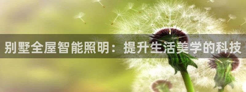 云顶国际mg：别墅全屋智能照明：提升生活