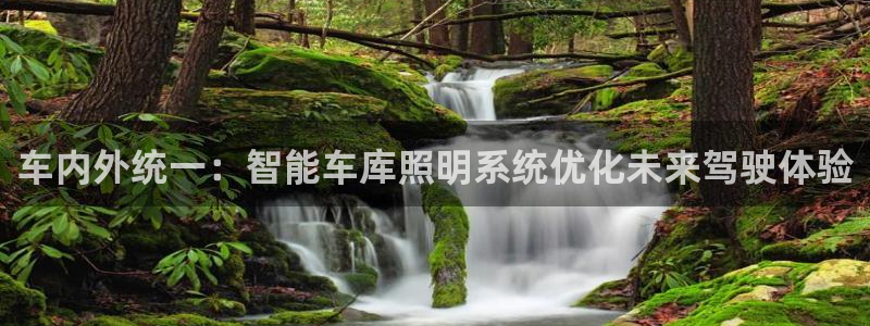 云顶最新套路2021