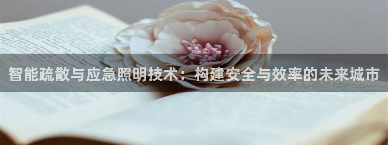 云顶国际城手机网址查询