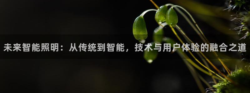 云顶国际大酒店住宿怎么样