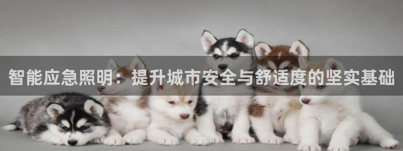 云顶国际app官方网站下载