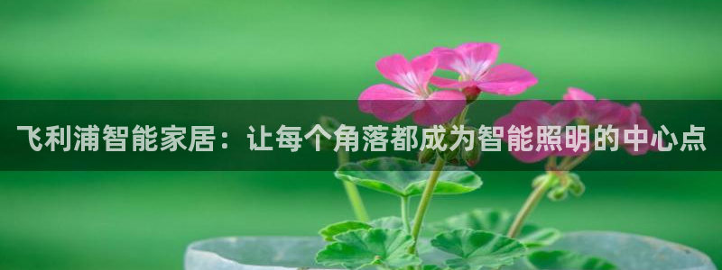 云顶国际平台app