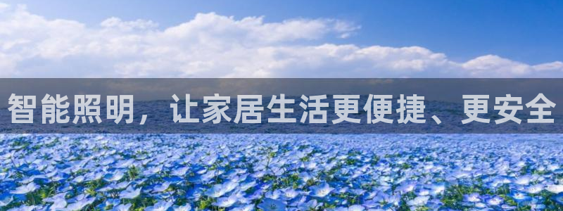 云顶国际版怎么下载