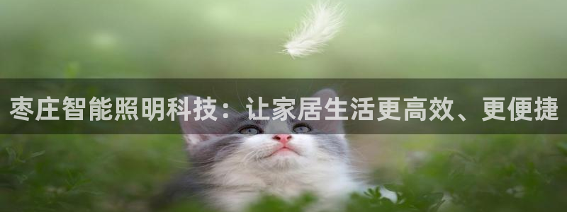 云顶国际什么时候能提现