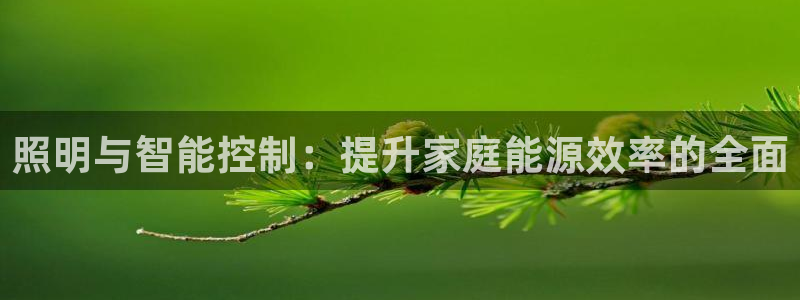 云顶国际集团发展有限公司国内项目总经理