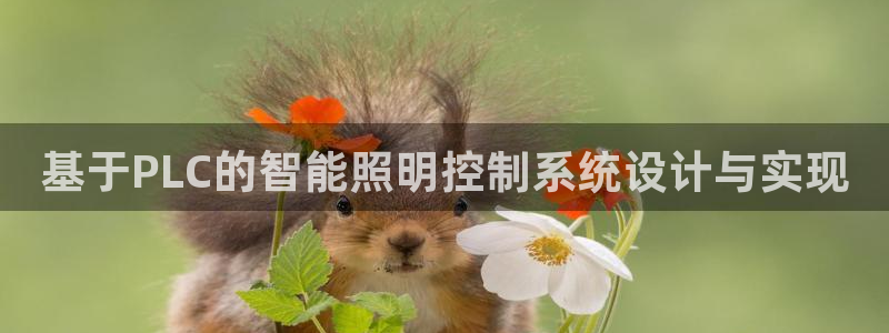 云顶国际集团 深圳