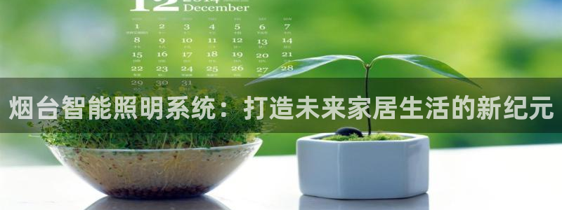 云顶小学国际班学费