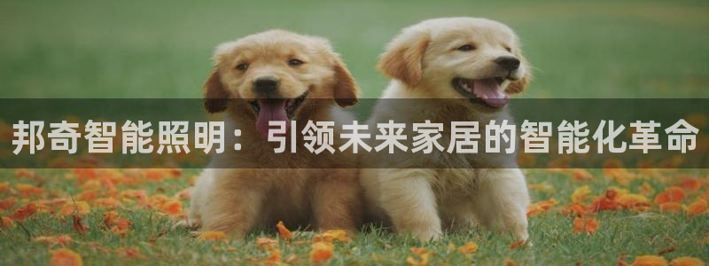 云顶集团有限公司简介图片