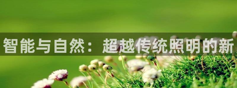 云顶国际电话号码查询