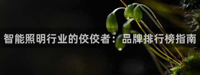 云顶国际是黑台吗还是白台