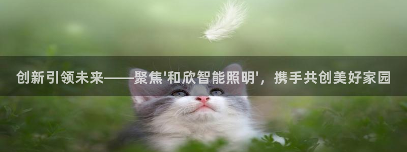 云顶国际是个什么平台游戏