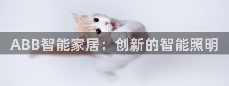 云顶国际旅行社怎么样