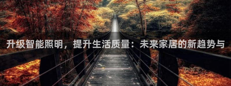 2418云顶：升级智能照明，提升生活质量