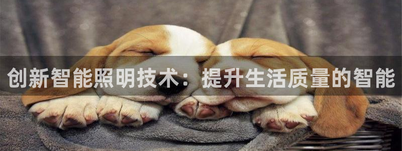 4188云顶集团下载