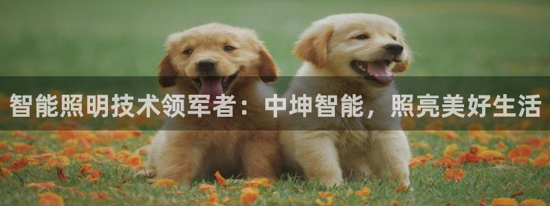 云顶小学国际班学费