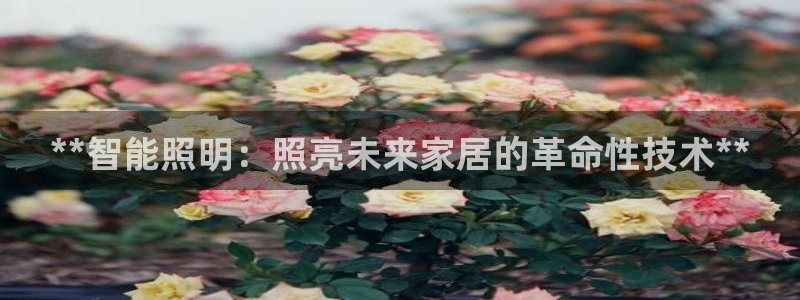 云顶集团总裁
