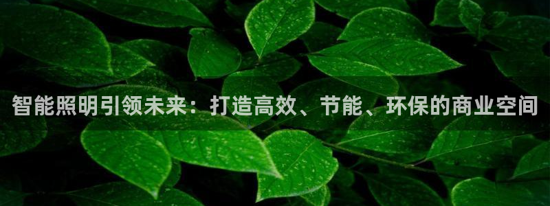 云顶国际app免费下载安装：智能照明引领